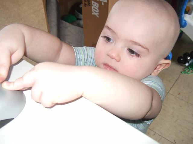 2008_0612morestuff0002.JPG