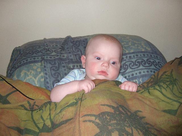 2008_0612morestuff0042.JPG