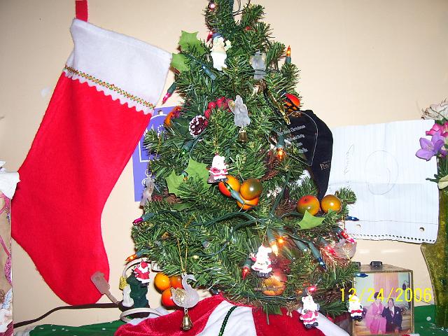 mypicture_065.jpg